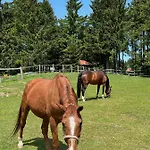 Wildwood Mit Wellness Sankt Englmar