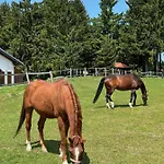 Wildwood Mit Wellness * Sankt Englmar